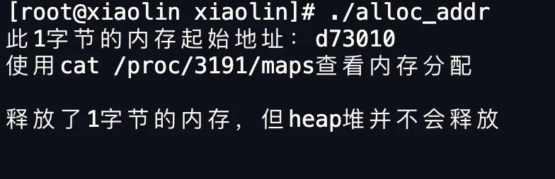 image-20250822142834970