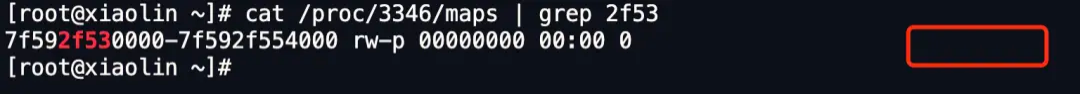 image-20250822142933030
