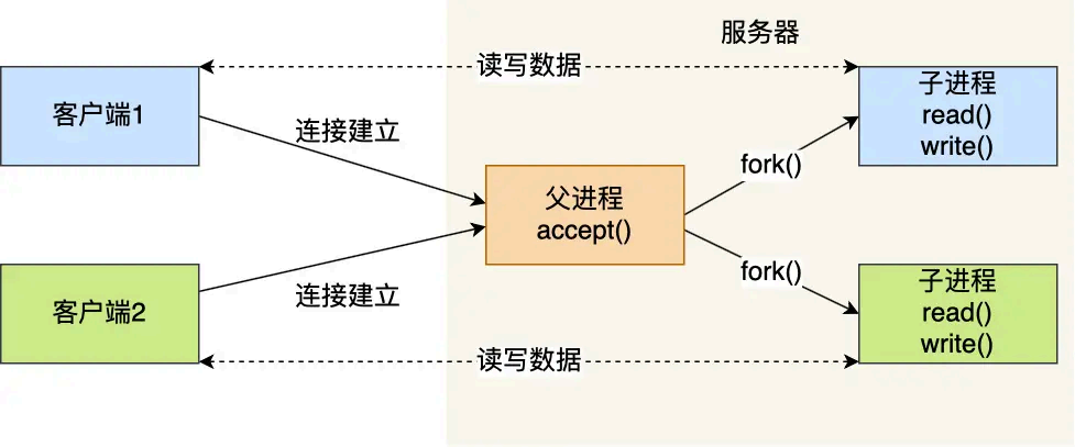 image-20250823101028883