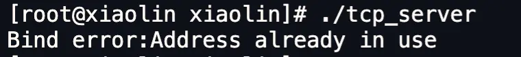 image-20250826101908134