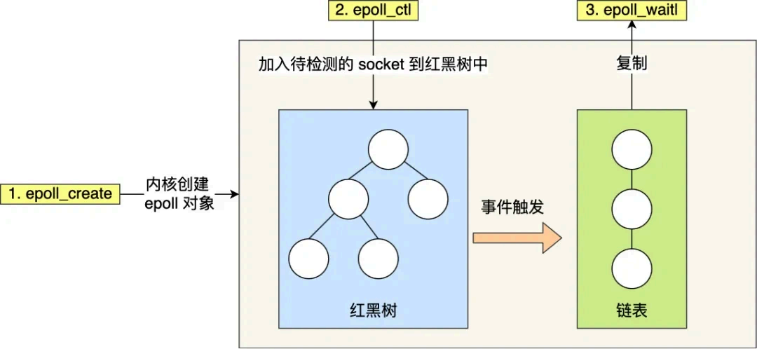 image-20250830145357087