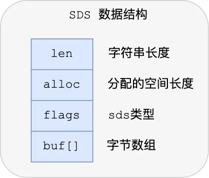 image-20250902154324204