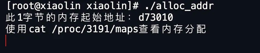 image-20250822142811465