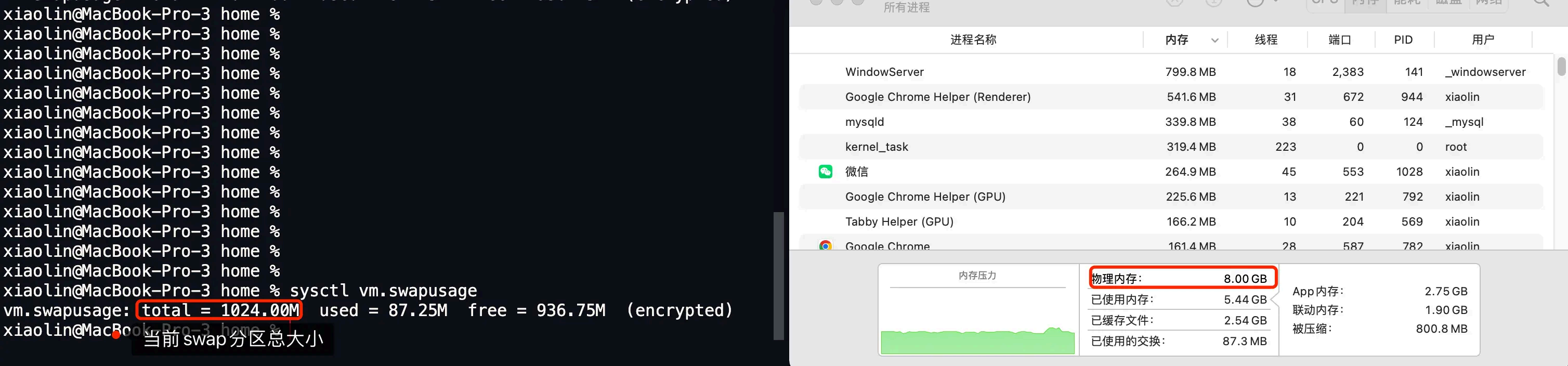 image-20250822144245388