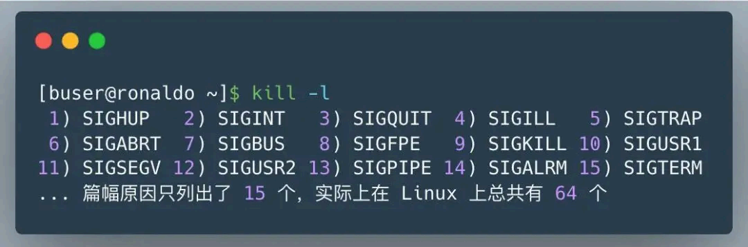 image-20250822152841050