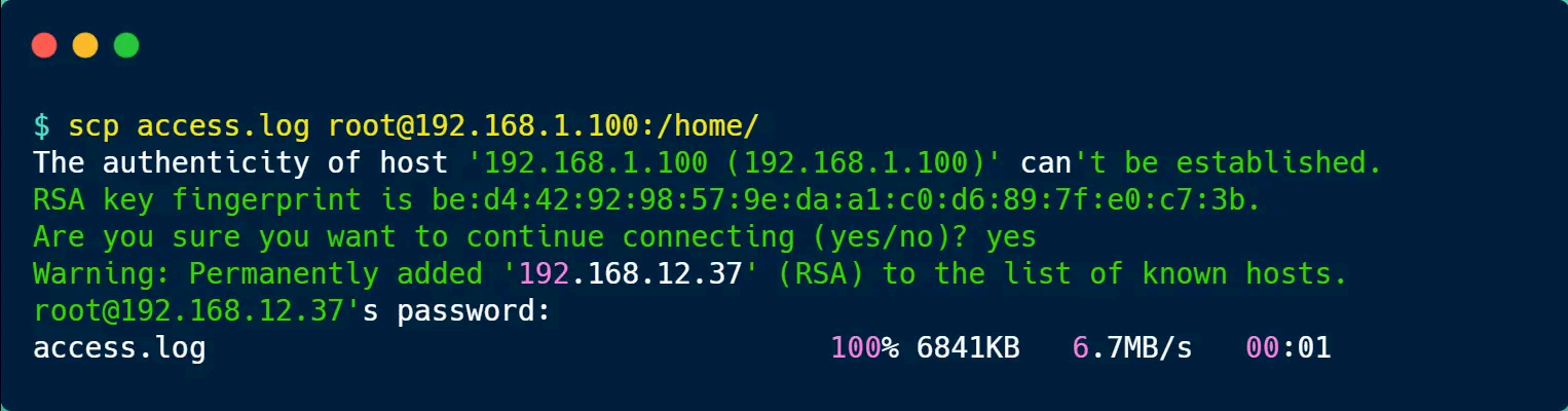 image-20250823102927057