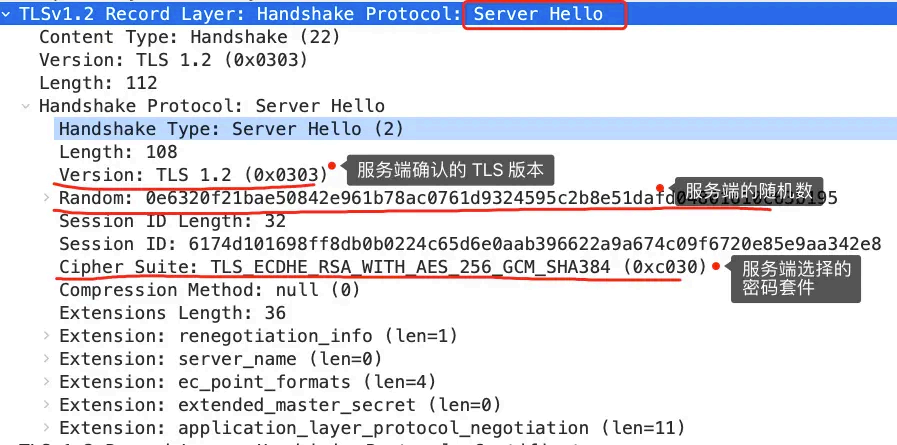 image-20250823142833284