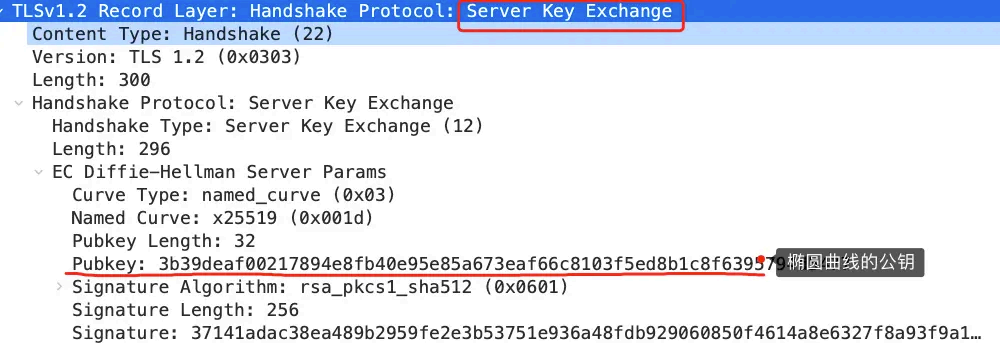 image-20250823142904857