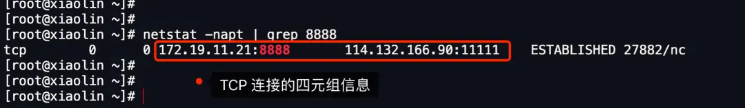 image-20250826092250416