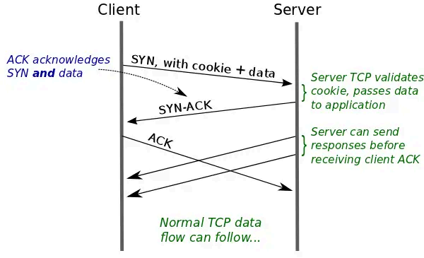 image-20250826095243485