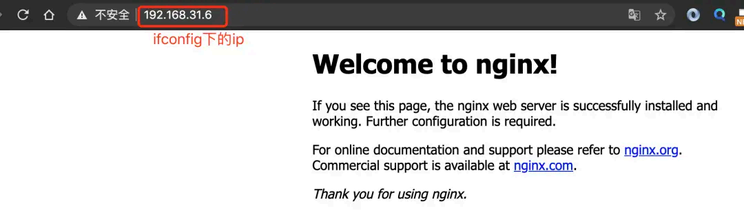 image-20250826141916654