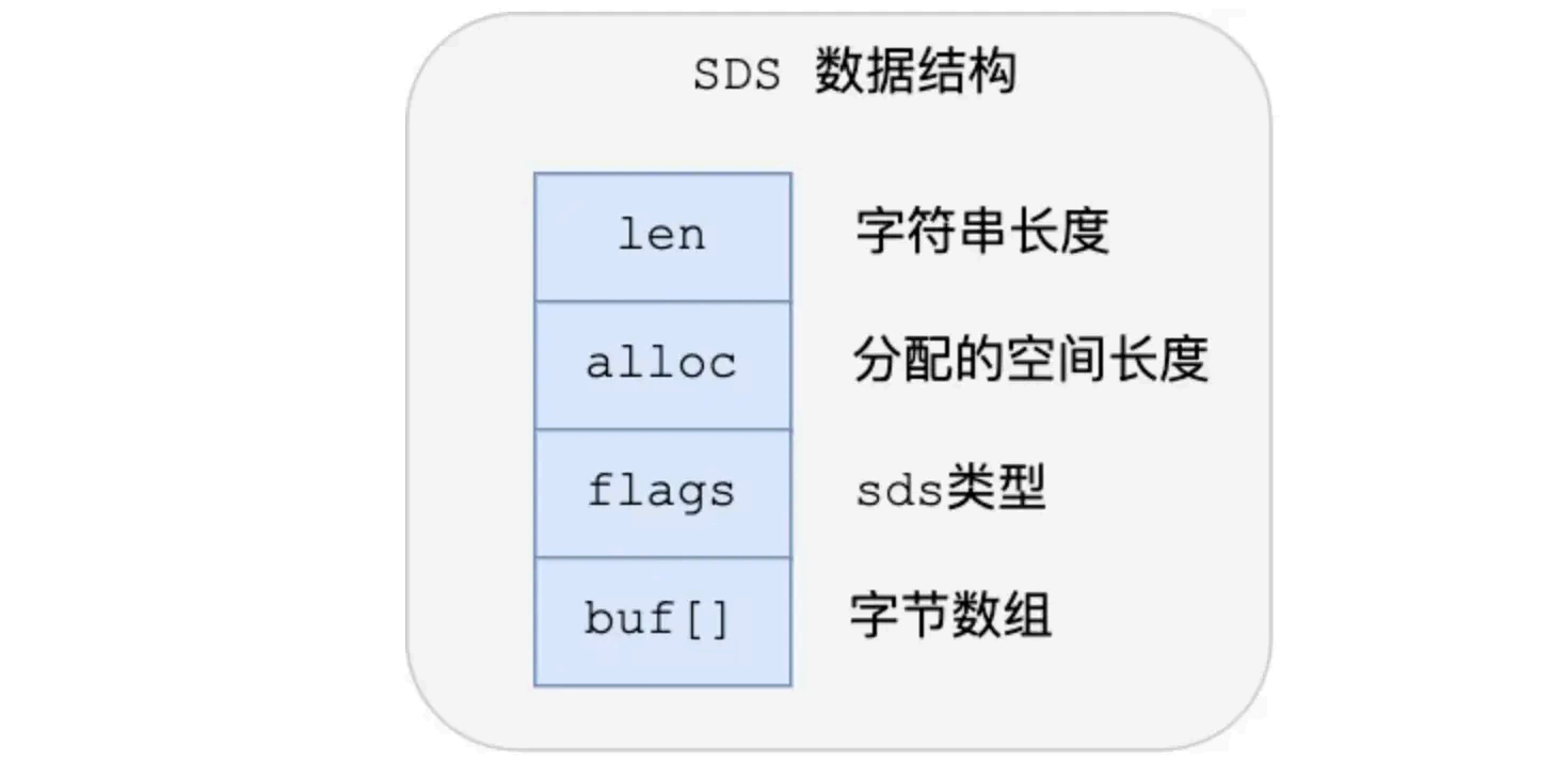 image-20250830102222274